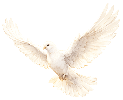 Hover-Bild